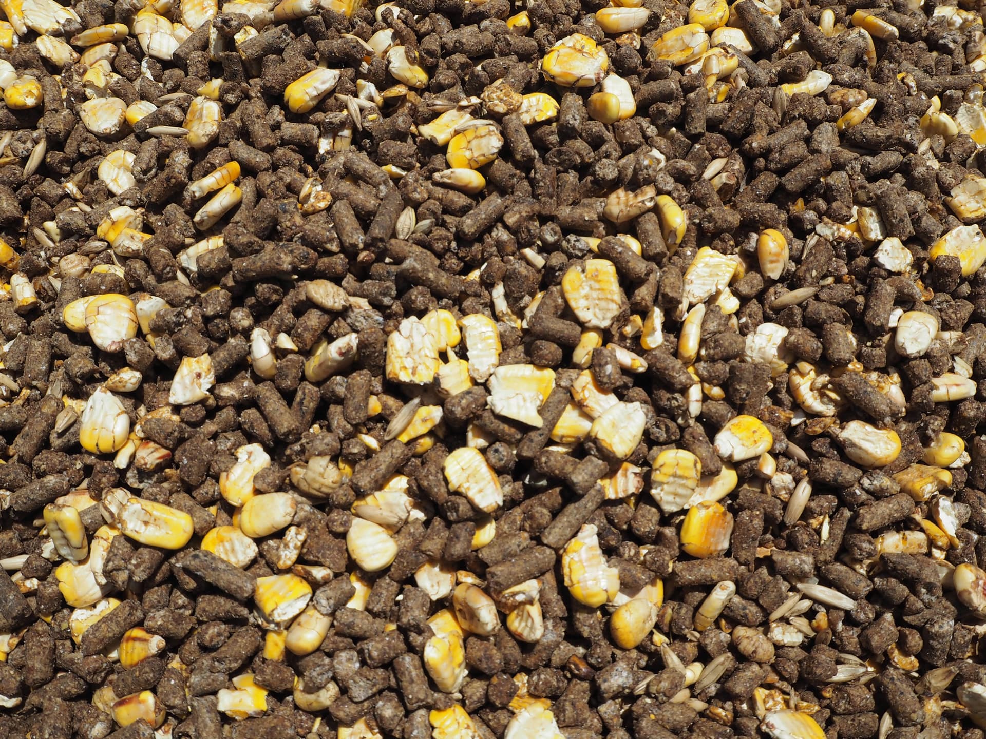 R&J Pre-Fresh Complete